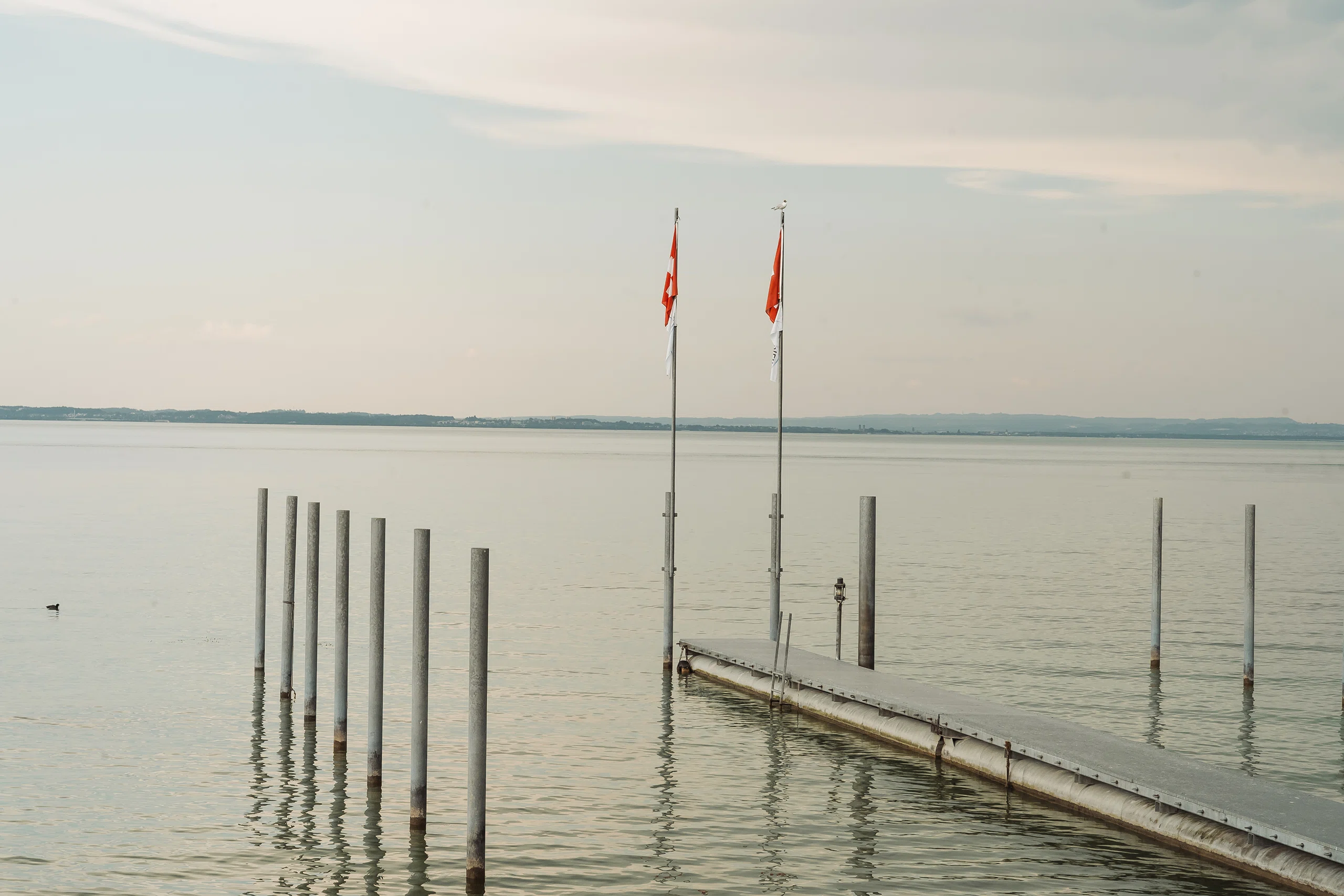 Restaurant Pier Uttwil Bodensee Bootssteeg direkt am Restaurant
